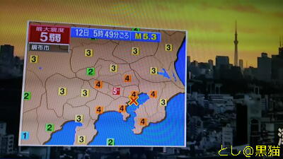 東京湾を震源とする地震