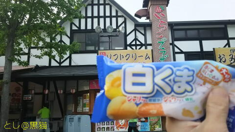 伊豆中央道 いちごプラザ いちご大福 と 煎餅