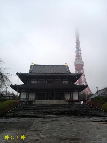 みぞれが降る増上寺と東京タワー