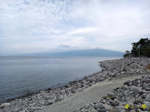 駿河湾越しに、富士山