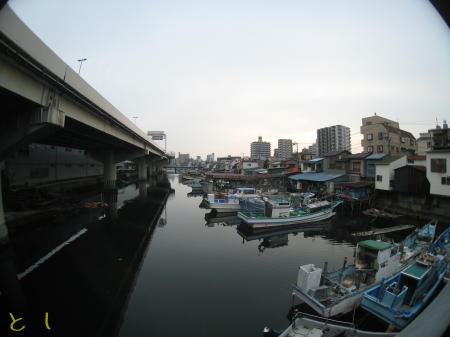 京浜運河 子安付近