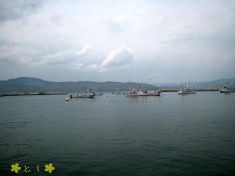 志津川湾（2010年6月20日）