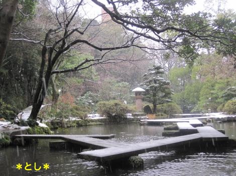 尾山神社境内の庭園