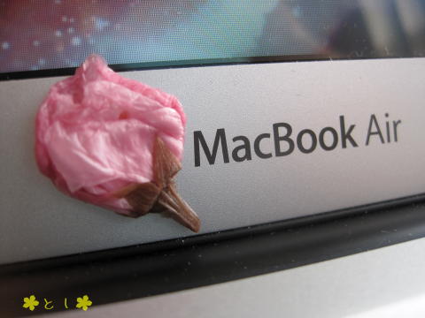 スイーツの桜を Macbook Airに・・・