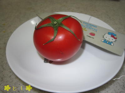 KAGOME 高リコピントマト