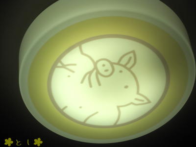天井の照明に豚さん