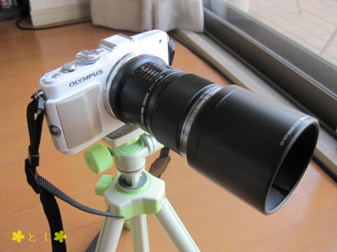 M.ZUIKO DIGITAL ED 60mm f2.8　＋　レンズフード（LH-49）