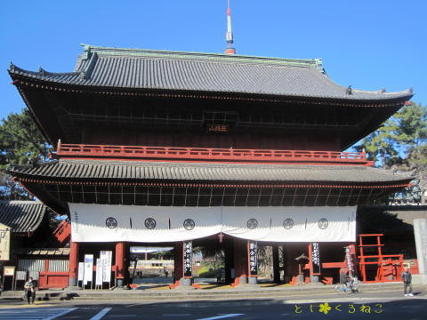 増上寺を散歩