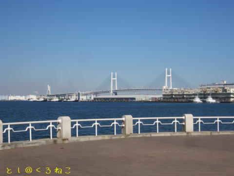 横浜港 お散歩したときの