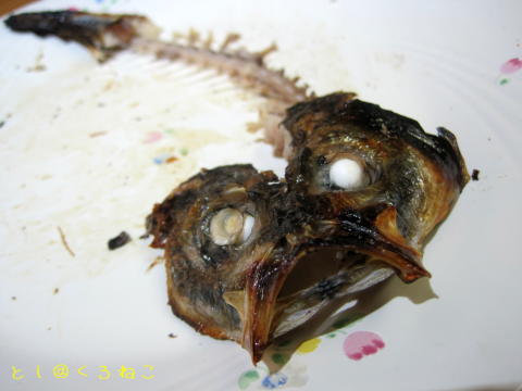 焼き魚の骨