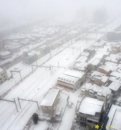 横浜の鉄道の積雪