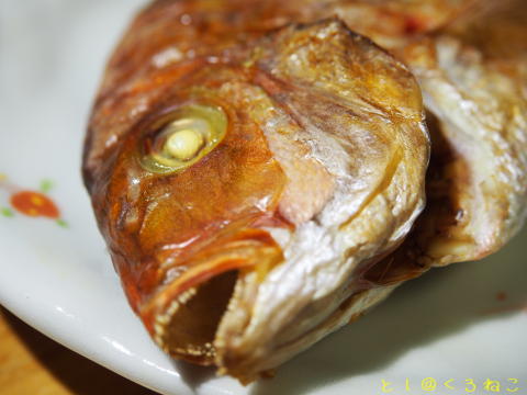ハナダイ（チダイ）の塩焼き魚ですニャー
