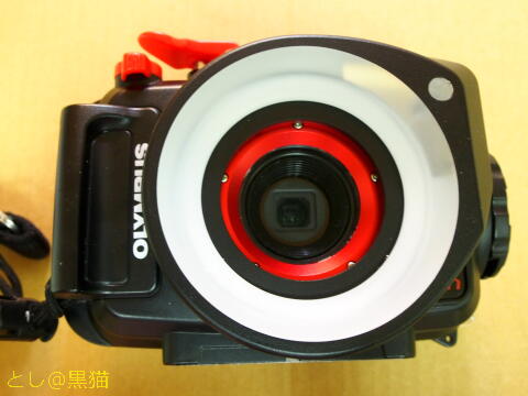 TG-4 + 水中リングストロボで 防水耐圧接写マクロ用カメラ