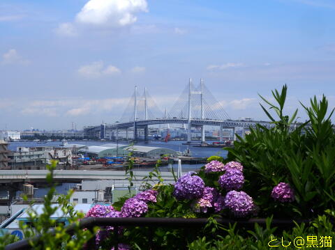 横浜 港の見える丘公園 散歩