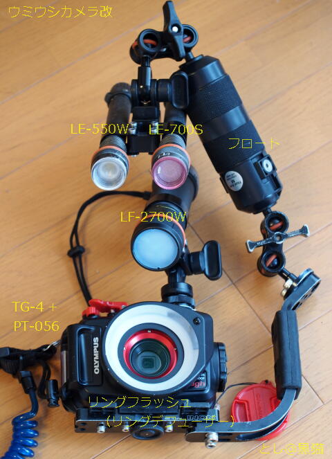 水中LEDライト LF2700-W 追加 TG-4 ウミウシカメラ改