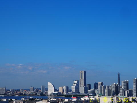 真っ青に晴れた、みなとみらい横浜
