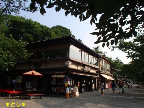 桂坂の茶屋・土産物街