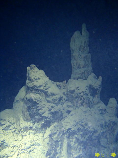 水中洞窟の水中には、巨大な石筍