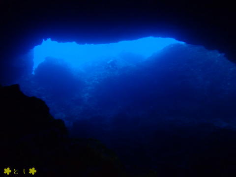 水中洞窟の出入り口